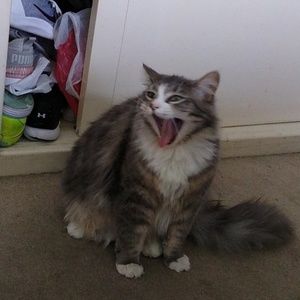 Meet your Posher, Leanne